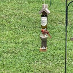 Wine Bottle Bird Feeder, Feeder - thumbnail 2