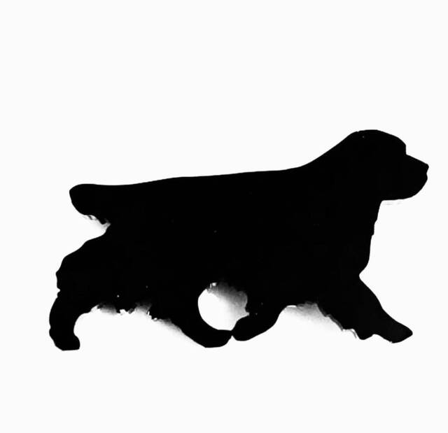 Clumber Spaniel Dog Wall Art Kennel Plaque Sign in Black