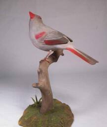 Pyrrhuloxia On Branch Wooden Carved Bird - thumbnail 3