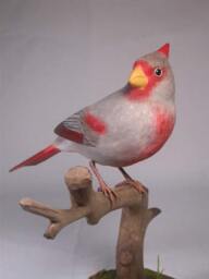 Pyrrhuloxia On Branch Wooden Carved Bird - thumbnail 4
