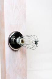 Industrial Bare Bulb Caged Light Ceiling Flush Mount/Wall Sconce - thumbnail 2