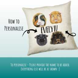 Personalised Guinea Pig Cushion Gift Printed Name Design - Throw Pillow For Mum Friend Bedroom Birthday Christmas Cs331 - thumbnail 3
