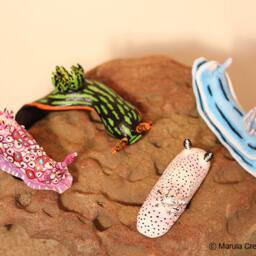 Yana The Nudibranch - Nembrotha Kubaryana - thumbnail 4