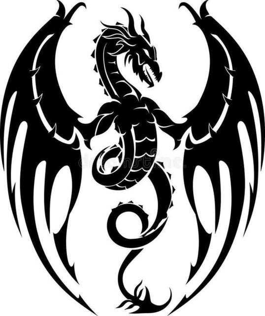 Dragon Decal Sticker Vinyl Car Bonnet Side Wall Art Graphic Silhouette Van Lorry Motorhome Campervan Tribal