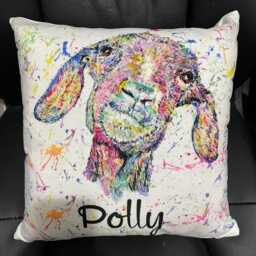 Personalised Watercolour Rainbow Goat Cushion, Cuddle Pillow, Birthday Gift - thumbnail 4