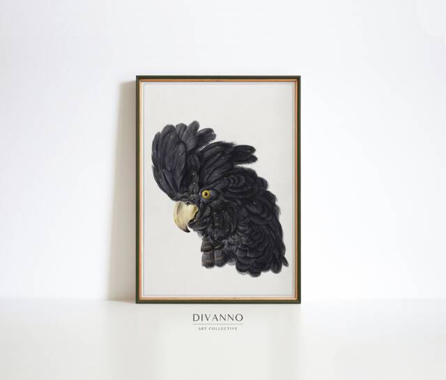 Vintage Cockatoo Gicl??e Print, Aert Schouman Baroque Art - image 1