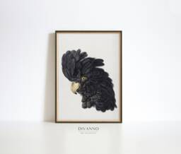 Vintage Cockatoo Gicl??e Print, Aert Schouman Baroque Art - thumbnail 1