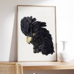 Vintage Cockatoo Gicl??e Print, Aert Schouman Baroque Art - thumbnail 2