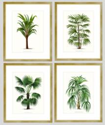 Palm Tree Prints. Beach Home Wall Art. Four Trees. Living Room Decor. Coastal Tropical Art Poster - thumbnail 1
