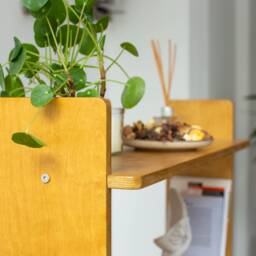 Mid-Century Modern Scandinavian Book Shelf & Plant Stand - thumbnail 2