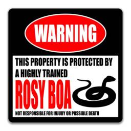Rosy Boa Sign, Funny Snake Yard Reptile Lover Metal Wall Art, Highly Trained Property Sign - thumbnail 3