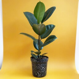Large Splatter Ceramic Plant Pots - Choose Your Colours - thumbnail 3