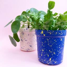 Large Splatter Ceramic Plant Pots - Choose Your Colours - thumbnail 4
