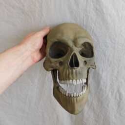 Large Vampire Skull Wall Art With Realistic Hand Painted Finish 30cm Tall Gothic Home Decor 3D Printed