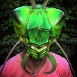 Mantis Mask Fiberglass Insect Helmet, Halloween Costume