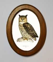 Light Oak Oval Wooden Framed Picture, Eagle Owl, Von Wright Brothers, Art Print, Bird Illustration, Wall Hanging, Antique Vintage Style - thumbnail 1