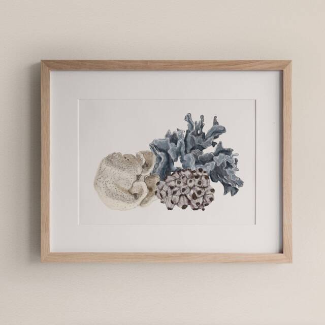Coral Cluster Art Print Soft Coastal Illustration Timeless Australian Wall - image 1