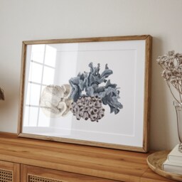 Coral Cluster Art Print Soft Coastal Illustration Timeless Australian Wall - thumbnail 2