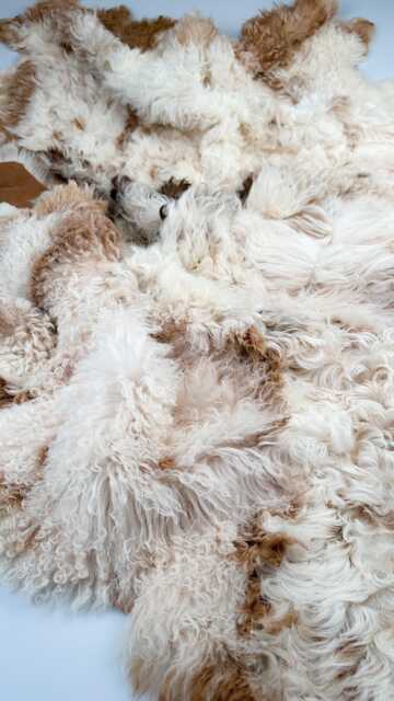 Luxury Curly Sheepskin Throw For Sofa Couch Or Bed Cover in Ivory & Honey Brown Curls & Tan Suede - Blanket Rug - image 1