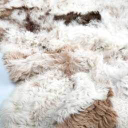Luxury Curly Sheepskin Throw For Sofa Couch Or Bed Cover in Ivory & Honey Brown Curls & Tan Suede - Blanket Rug - thumbnail 3