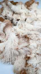 Luxury Curly Sheepskin Throw For Sofa Couch Or Bed Cover in Ivory & Honey Brown Curls & Tan Suede - Blanket Rug