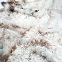 Luxury Curly Sheepskin Throw For Sofa Couch Or Bed Cover in Ivory & Honey Brown Curls & Tan Suede - Blanket Rug - thumbnail 4