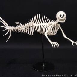Merman Skeleton - Small - thumbnail 2