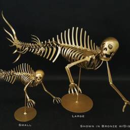 Merman Skeleton - Small - thumbnail 4