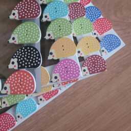 Colourful Wooden Hedgehog Button Photo Frame 4 X 6 Inches