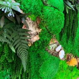 Preserved Moss Wall Art Handmade Panel Set With Mushrooms & Butterflies - thumbnail 4