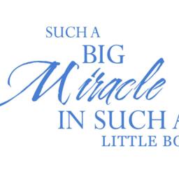 Miracle Baby Nursery Wall Decal Quote Art - thumbnail 2