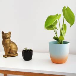 Handmade Sunset Gradient Porcelain Flower Pot - Colorful Vase - thumbnail 2