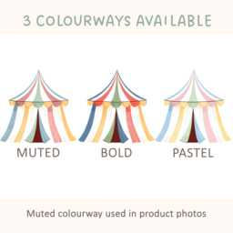Circus Wall Stickers, Nursery Decals, Animal Playroom Decor, Removable Fabric Stars Optional - thumbnail 4