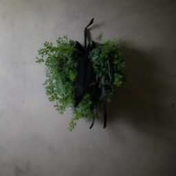 Pre-Order Fresh Christmas Wreath Contemporary Xmas Wreath, Door Foliage Oversized Bow, Ribbon Bows - thumbnail 3