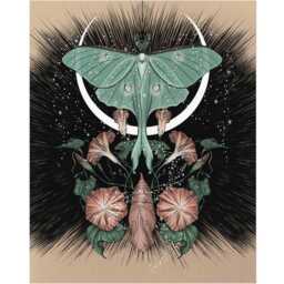 Lunar Moth Art Print Mystical Moonflower, Witchy Gothic Decor - thumbnail 1