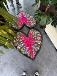 Heart Shaped Caladium Leaf Fluffy Handmade Tufted Rug - thumbnail 1