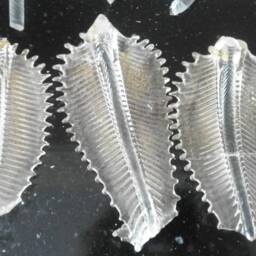 Leaves, Cups & Bobeches, Spare Parts For Chandeliers By Venini, Transparent - thumbnail 2
