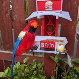 Birdy King Garden Bird Feeding Station - Bird Seed Feeder Quirky Outdoor Decor Wild Food Table Sparrow Blue Tit Blackbird - thumbnail 2