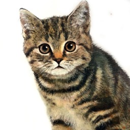 Illustration Of A Kitten, Printing On Drawing Paper, Mixed Techniques Animal Painting - thumbnail 3