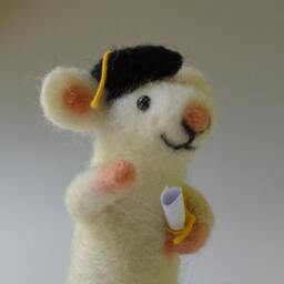 Mouse Graduate - thumbnail 2