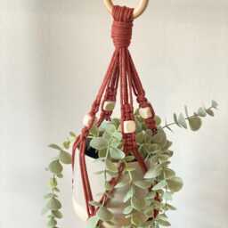 Macrame Plant Hanger No Tassel, Small Pots Holder, Succulent & Herb Wall Basket Tail, Modern Hanging Planter - Pots Not Included - thumbnail 3