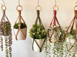 Macrame Plant Hanger No Tassel, Small Pots Holder, Succulent & Herb Wall Basket Tail, Modern Hanging Planter - Pots Not Included