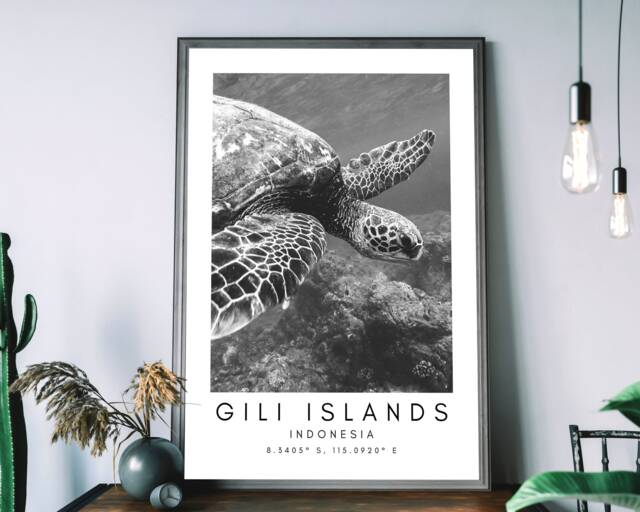 Gili Islands Turtle Print Minimalist Travel Photography Art - image 1