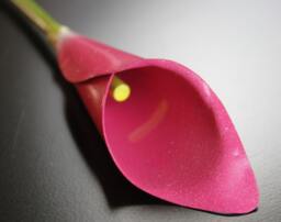 Metal Calla Lily Pink Steel Anniversary Bouquet