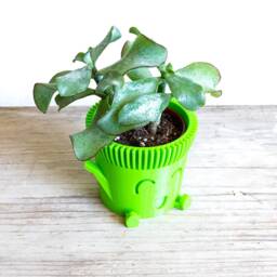 Colorful Happy Cute Planter - Sitting Plant Pot Succulent Cache Face Gift Idea - thumbnail 3