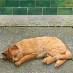 Ginger Sleeping Cat Statue Concrete Kitten Figurine Stone Pet Ornament Memorial Sculpture Kitty Decor Cement Lovers Gift - thumbnail 1