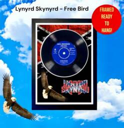 Framed Vinyl Record - Lynyrd Skynyrd Free Bird Unique Gift Idea Music Memorabilia 70S Wall Art Decor - thumbnail 1
