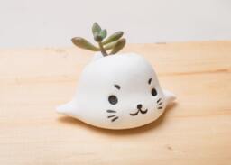 Seal Planter, Sealdecor, Office Decor, Home Office, Animal Planter, Home Decor, Sea Lion, Succulent Ocean - thumbnail 1