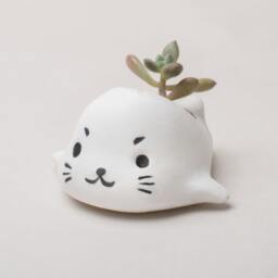 Seal Planter, Sealdecor, Office Decor, Home Office, Animal Planter, Home Decor, Sea Lion, Succulent Ocean - thumbnail 4