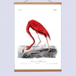 Flamingo Canvas Print With Wooden Magnetic Hanger, Vintage Bird Illustration - thumbnail 2
